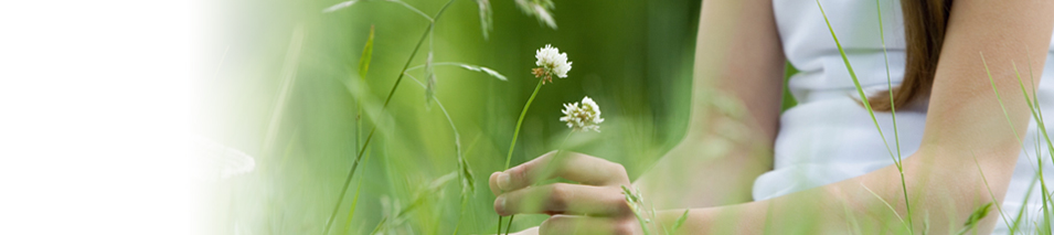 fleur.jpg